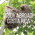 costa rica how is it study abroad
