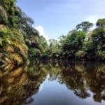 Tortuguero National Park, Exploradores Outdoors, Costa Rica