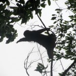 Manuel Antonio, Quepos, Costa Rica