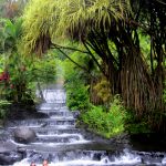 Tabacon Hot Springs, Costa Rica, La Fortuna