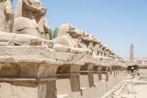 karnak, luxor, egypt, goats