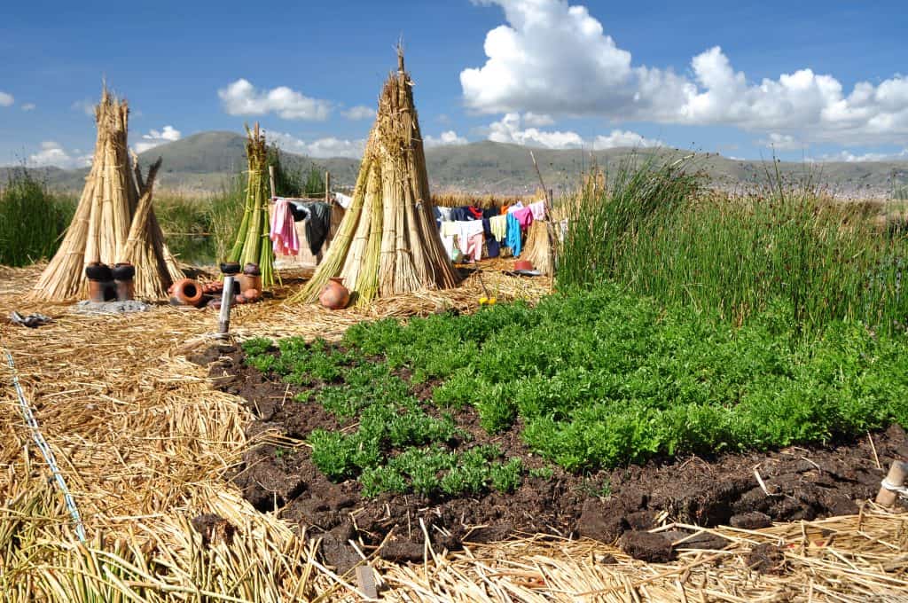 tilake titicaca. floating islands. peru travel. 