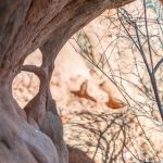 johnson canyon, kanab, native american cave