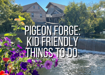 Pigeon force kid friendly things to do.