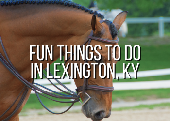 Fun Attractions in Lexington, Kentucky